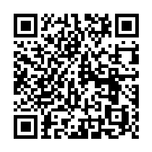 Lien vers votre campagne QRCode - Collecte de fonds