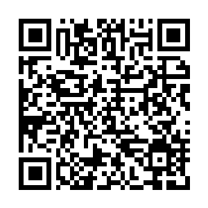 Lien vers votre campagne QRCode - Collecte de fonds