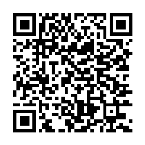Lien vers votre campagne QRCode - Collecte de fonds