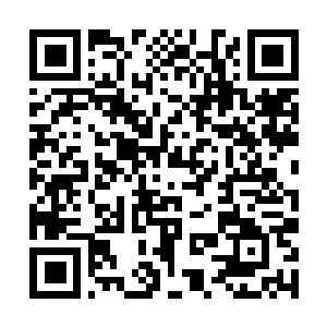 Lien vers votre campagne QRCode - Collecte de fonds