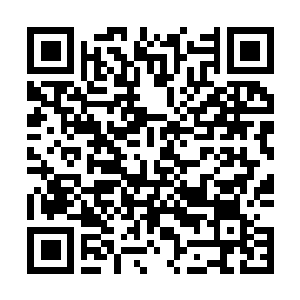 Lien vers votre campagne QRCode - Collecte de fonds