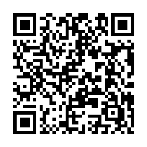 Lien vers votre campagne QRCode - Collecte de fonds