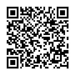 Lien vers votre campagne QRCode - Collecte de fonds