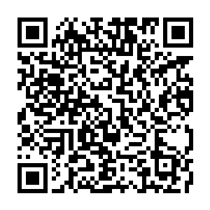 Lien vers votre campagne QRCode - Collecte de fonds