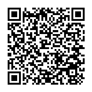 Lien vers votre campagne QRCode - Collecte de fonds