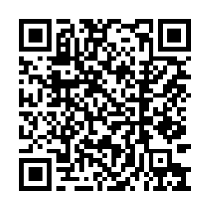 Lien vers votre campagne QRCode - Collecte de fonds