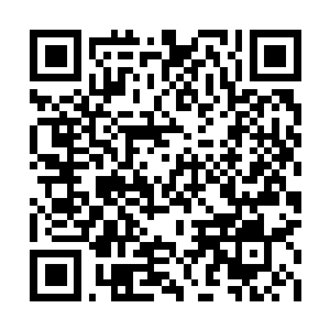 Lien vers votre campagne QRCode - Collecte de fonds