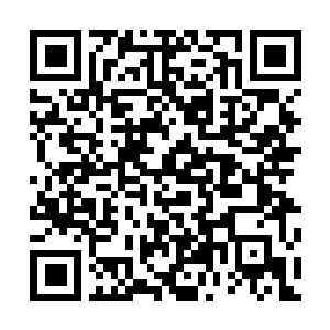 Lien vers votre campagne QRCode - Collecte de fonds