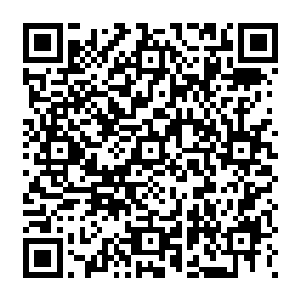 Lien vers votre campagne QRCode - Collecte de fonds