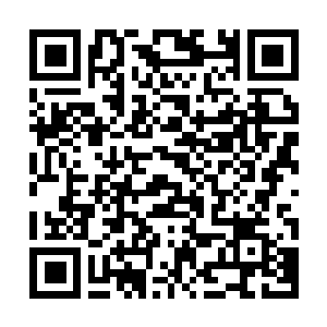 Lien vers votre campagne QRCode - Collecte de fonds