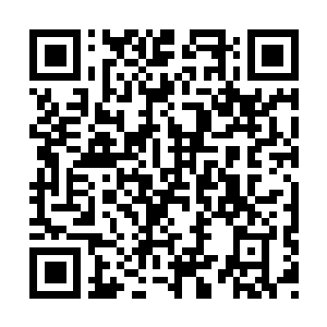 Lien vers votre campagne QRCode - Collecte de fonds