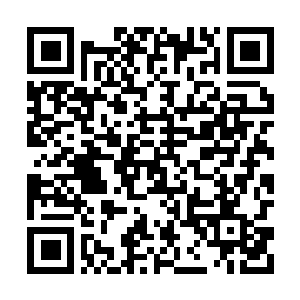 Lien vers votre campagne QRCode - Collecte de fonds