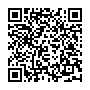 Lien vers votre campagne QRCode - Collecte de fonds