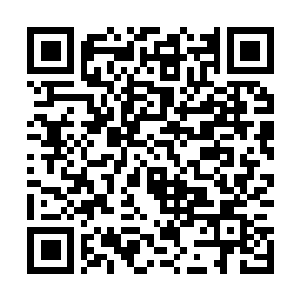 Lien vers votre campagne QRCode - Collecte de fonds