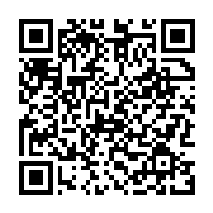 Lien vers votre campagne QRCode - Collecte de fonds