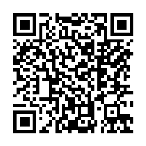 Lien vers votre campagne QRCode - Collecte de fonds