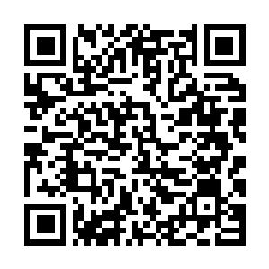 Lien vers votre campagne QRCode - Collecte de fonds