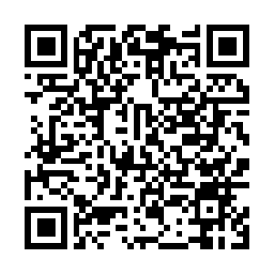 Lien vers votre campagne QRCode - Collecte de fonds