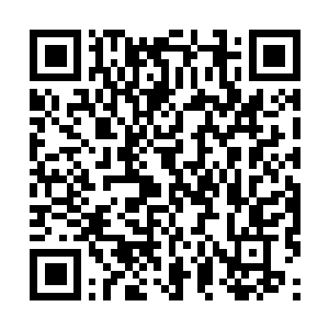 Lien vers votre campagne QRCode - Collecte de fonds