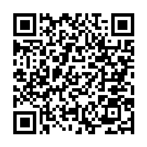 Lien vers votre campagne QRCode - Collecte de fonds