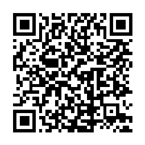Lien vers votre campagne QRCode - Collecte de fonds