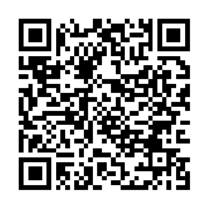Lien vers votre campagne QRCode - Collecte de fonds