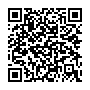 Lien vers votre campagne QRCode - Collecte de fonds