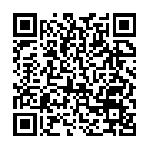 Lien vers votre campagne QRCode - Collecte de fonds