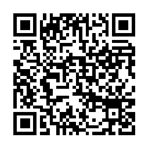 Lien vers votre campagne QRCode - Collecte de fonds