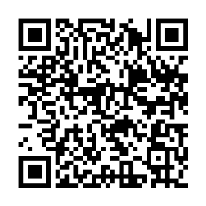 Lien vers votre campagne QRCode - Collecte de fonds