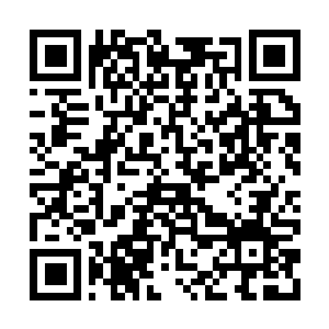 Lien vers votre campagne QRCode - Collecte de fonds