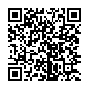 Lien vers votre campagne QRCode - Collecte de fonds