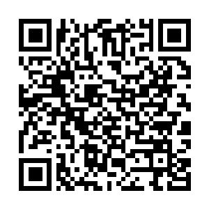 Lien vers votre campagne QRCode - Collecte de fonds