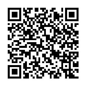 Lien vers votre campagne QRCode - Collecte de fonds