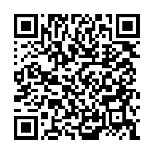 Lien vers votre campagne QRCode - Collecte de fonds