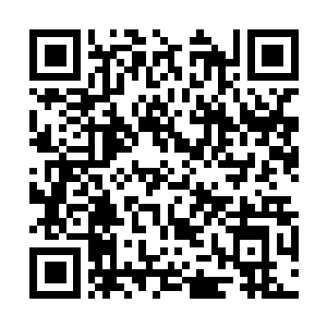 Lien vers votre campagne QRCode - Collecte de fonds