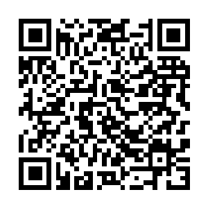 Lien vers votre campagne QRCode - Collecte de fonds