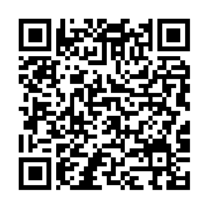 Lien vers votre campagne QRCode - Collecte de fonds