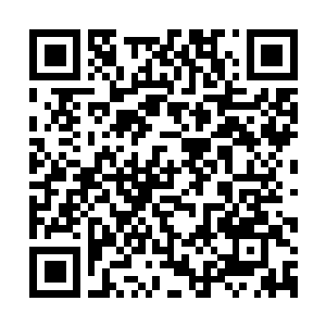 Lien vers votre campagne QRCode - Collecte de fonds