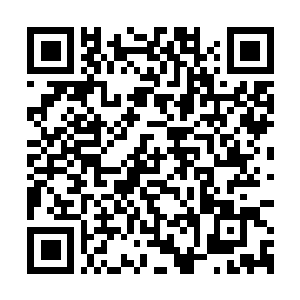 Lien vers votre campagne QRCode - Collecte de fonds