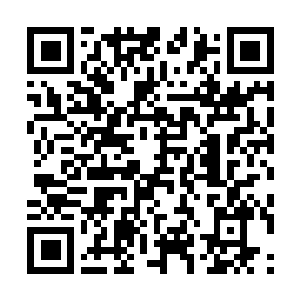 Lien vers votre campagne QRCode - Collecte de fonds