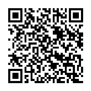 Lien vers votre campagne QRCode - Collecte de fonds