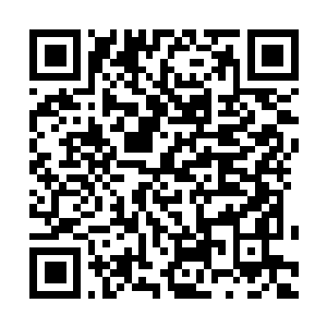 Lien vers votre campagne QRCode - Collecte de fonds