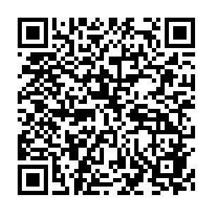 Lien vers votre campagne QRCode - Collecte de fonds