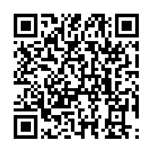 Lien vers votre campagne QRCode - Collecte de fonds