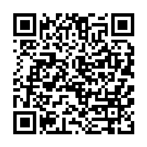 Lien vers votre campagne QRCode - Collecte de fonds