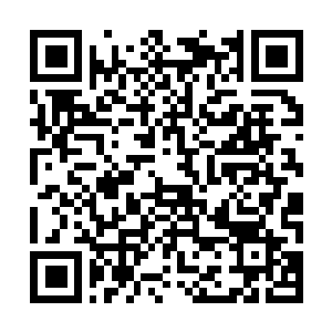 Lien vers votre campagne QRCode - Collecte de fonds