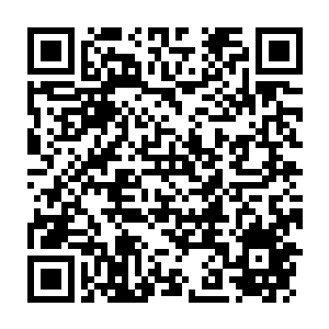 Lien vers votre campagne QRCode - Collecte de fonds