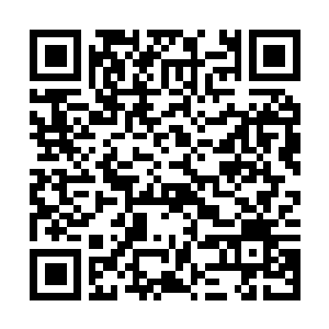 Lien vers votre campagne QRCode - Collecte de fonds