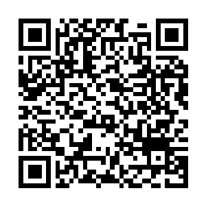 Lien vers votre campagne QRCode - Collecte de fonds